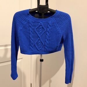 Express Royal Blue Cable Knit Sweater